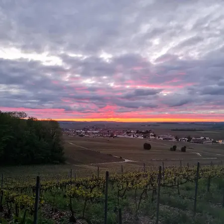 公寓 Dans Un Village Vigneron